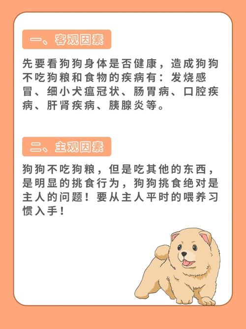 狗不吃狗粮挑食干饭狗狗养成记