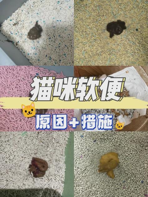猫咪一周不大便会怎么样呢