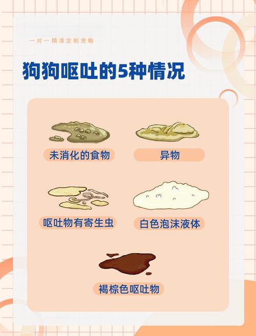 狗吃什么吐什么怎么办