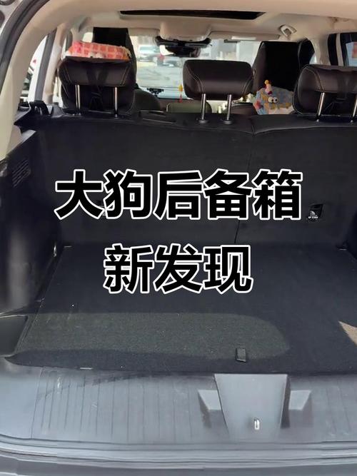 狗狗放后备箱没事吧,轿车后备箱能放狗吗