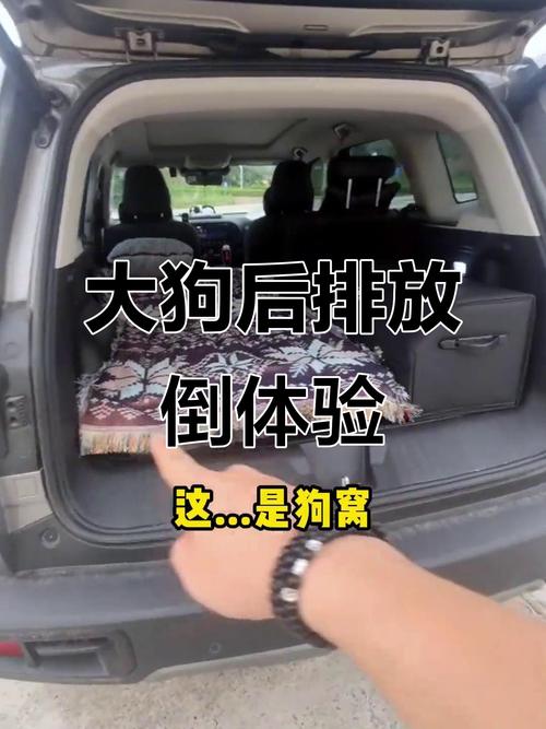 狗放后备箱会不会闷死