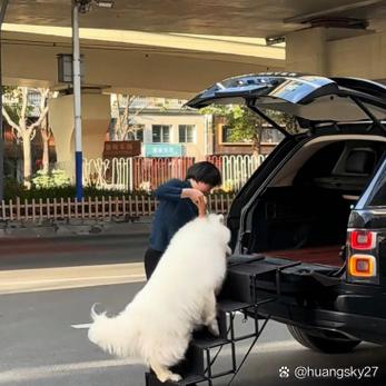 狗狗放后备箱没事吧