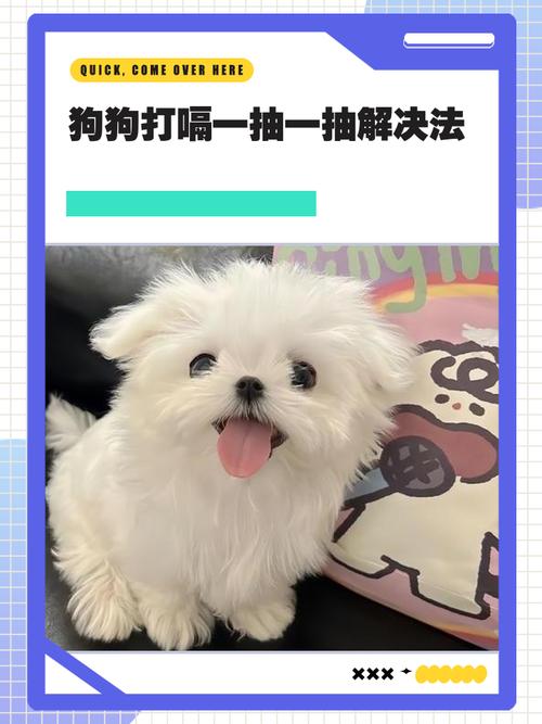 狗狗打嗝一抽一抽的怎么缓解