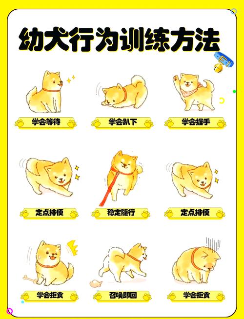 如何和狗狗玩耍