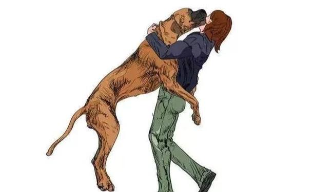 狗狗一见了人就会过分热情、扑人,该怎么让它表现的冷静点?