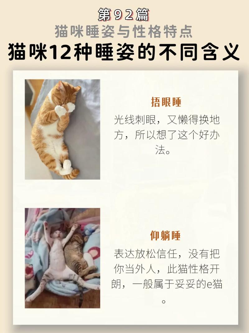 猫的不同睡姿,是否会表示着不同的性格呢?