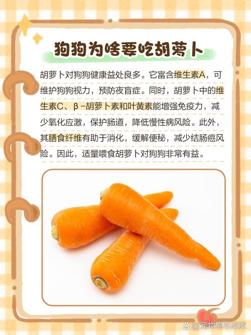 狗狗吃胡萝卜有什么好处