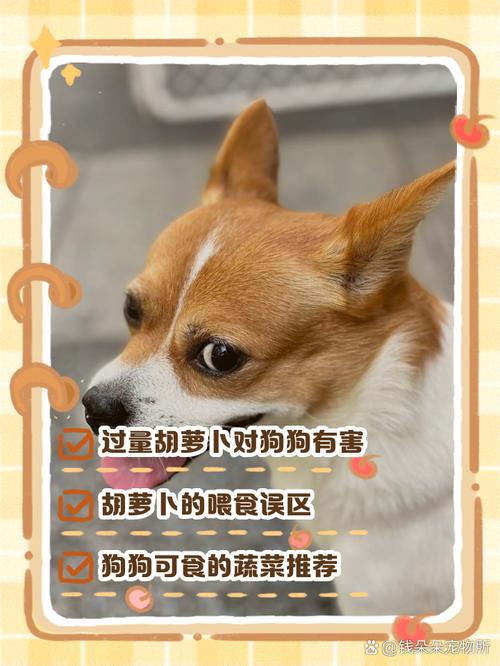 幼犬可以吃胡萝卜吗