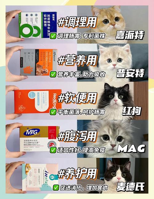 猫咪益生菌可以天天吃吗?哪个牌子好一点?