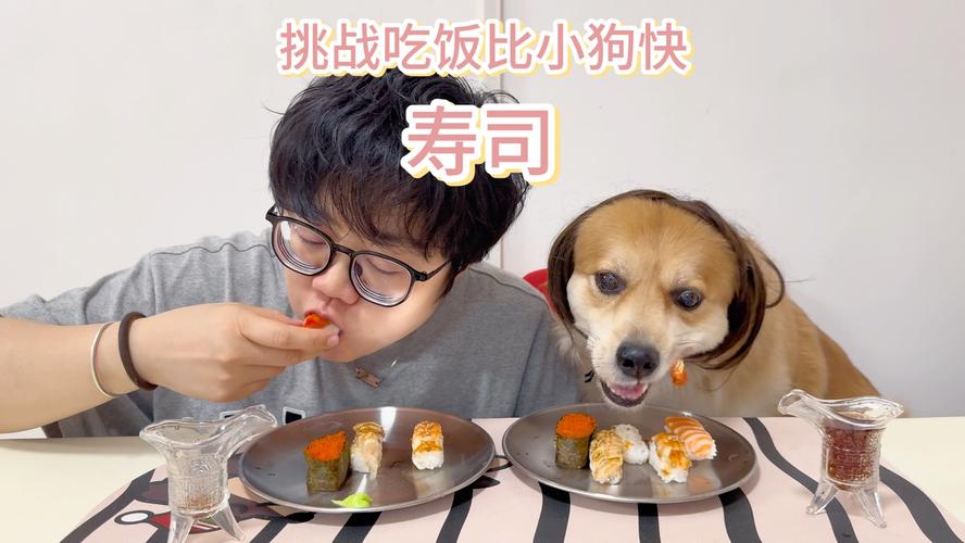 狗狗可以吃寿司吗