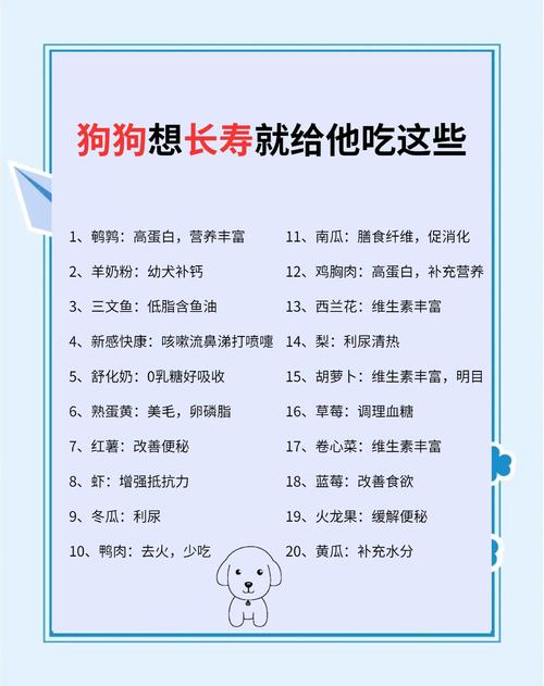 宠物犬喜欢吃的零食有哪些?