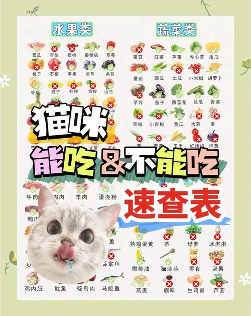 猫最爱吃的20种食物