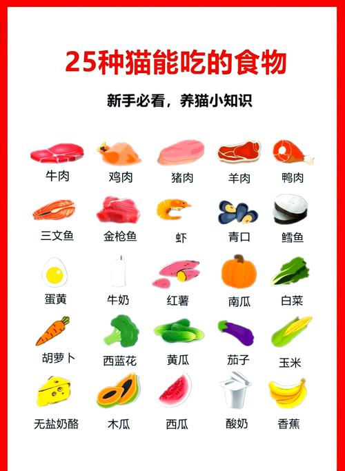 哪些蔬菜适合给猫咪吃?