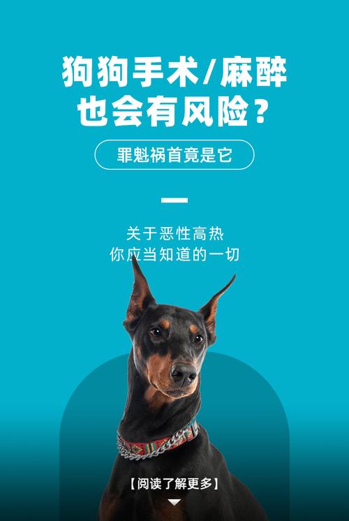 狗狗吸入式麻醉安全吗?狗狗呼吸麻醉安全吗?