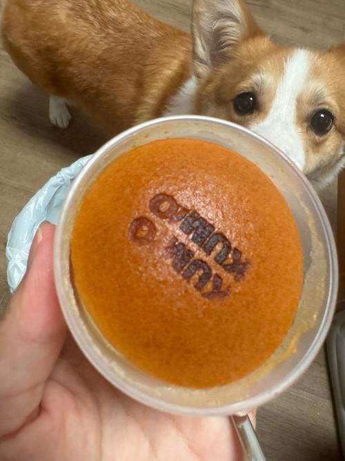 狗狗能吃小布丁吗