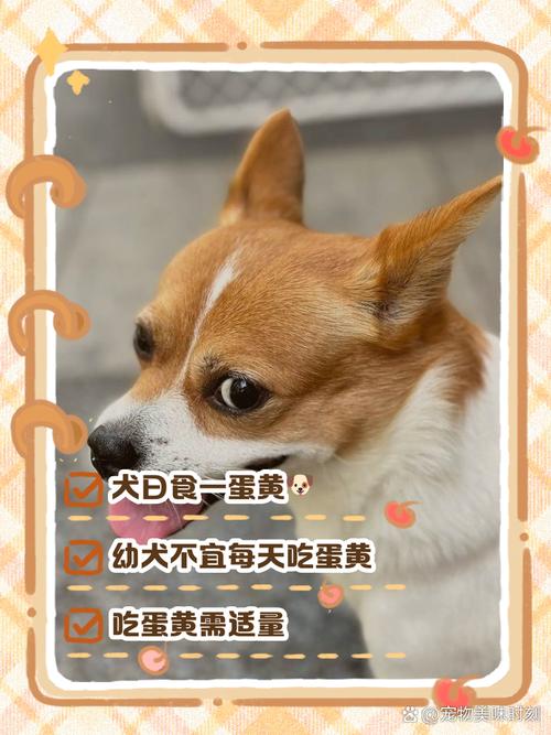 狗能不能吃茶叶蛋