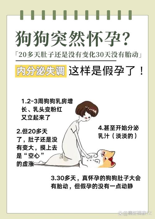 孕妇可以和狗狗在一起吗?孕妇和狗狗接触好不好?