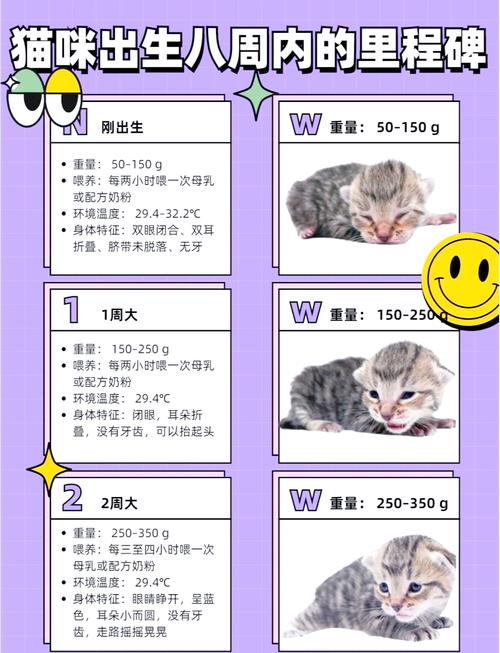 猫咪几个月打疫苗