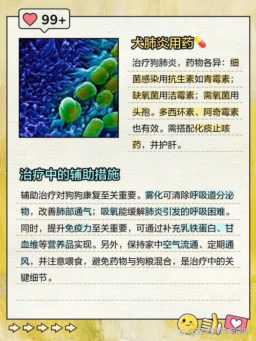 狗狗肝脏受损会死亡吗