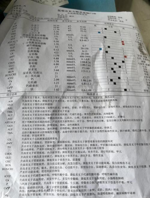 泰迪肝功能受损,吃什么比较好