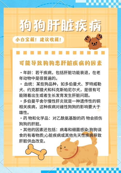 急求老年狗狗肝功能损伤的治疗方法,懂得来说说