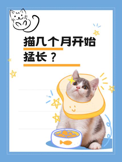 猫几个月开始猛长