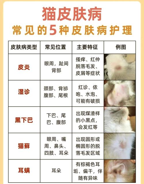 猫咪身上长了很多结痂的小疙瘩?
