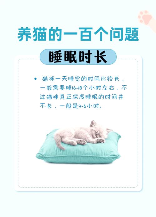 猫一天要睡多久