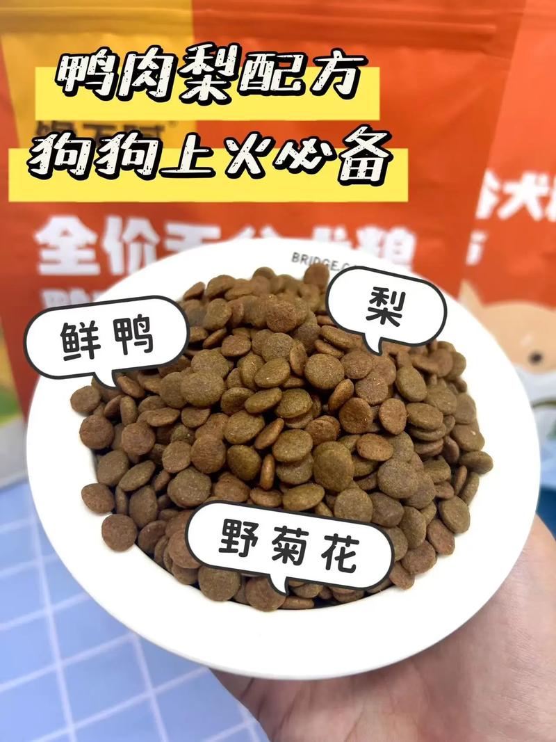 狗狗吃狗粮上火怎么办