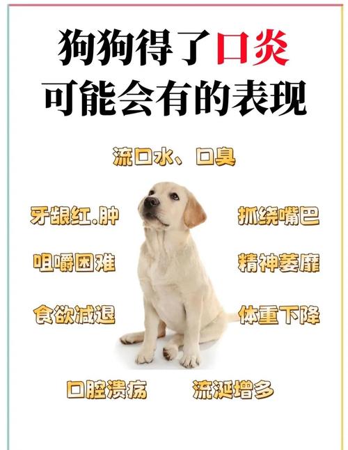 狗狗上火怎么办好