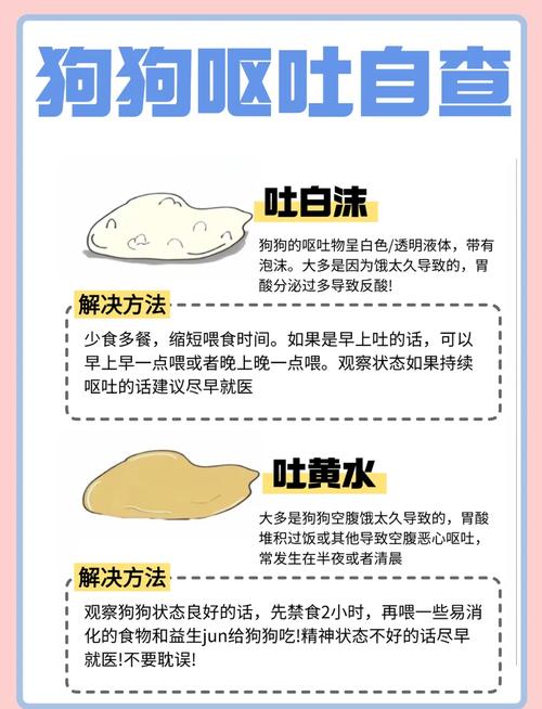 狗狗拉稀呕吐怎么办但是很活泼