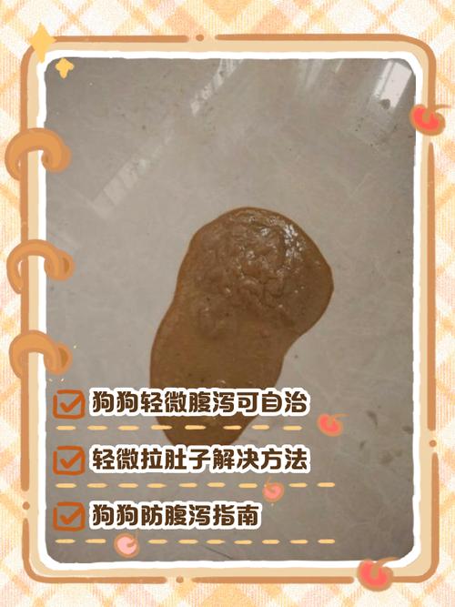 狗狗很活泼但是拉稀