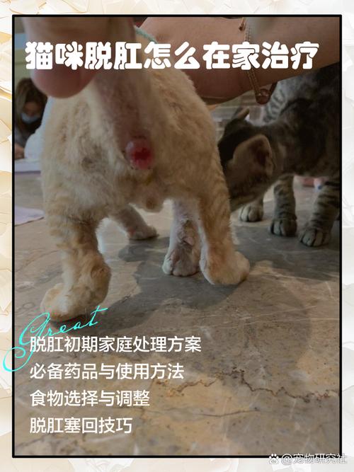 怎样用细绳子绞脸上的汗毛?手法怎么弄?