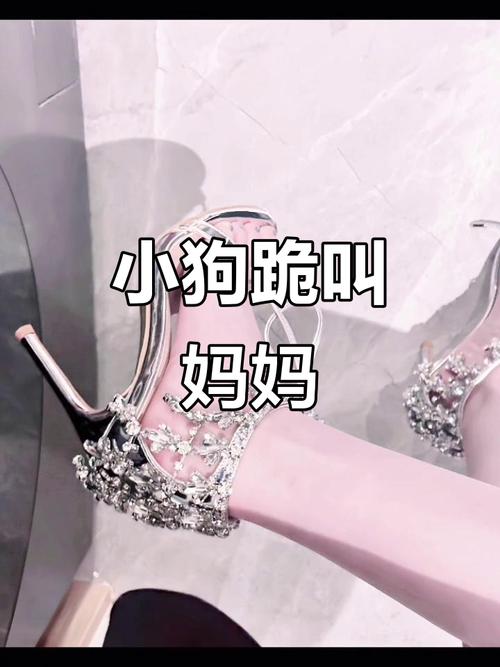 吃什么狗狗快速长个子