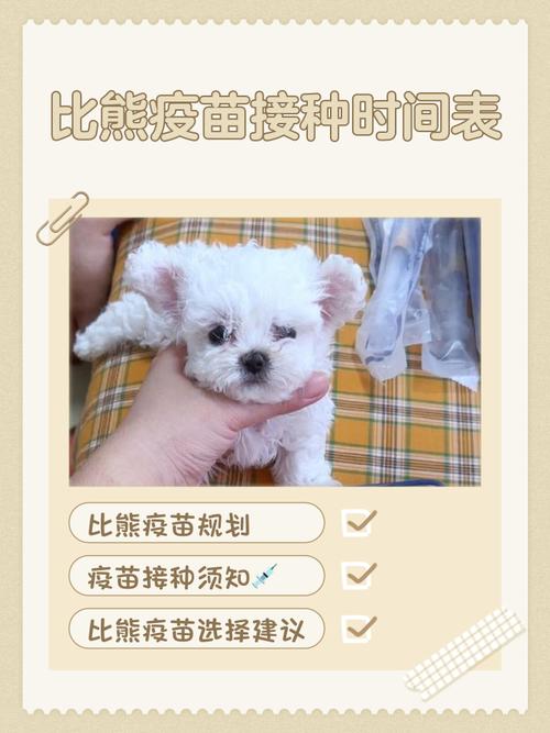 狗狗疫苗接种的最佳时机是什么时候?