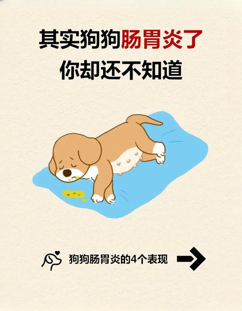 狗狗感冒型肠胃炎症状