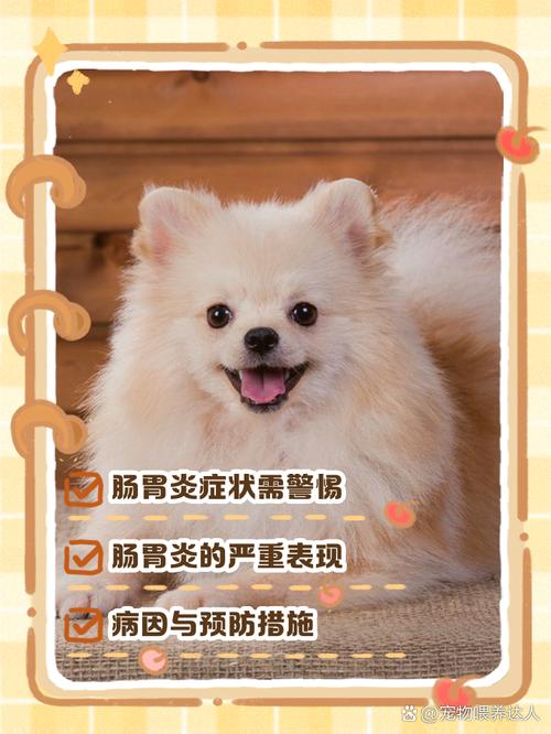 狗狗的肠胃炎死亡征兆