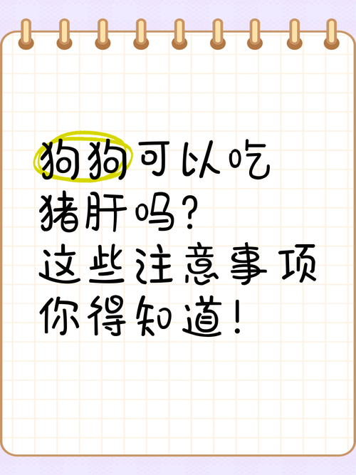 猪肝怎么做给狗狗吃