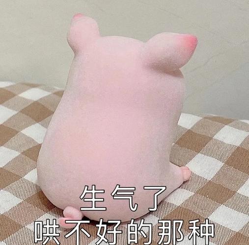 猫咪脾气不好怎么办?如何让他变得软萌温柔!