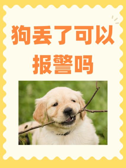 狗丢了可以报警受理吗