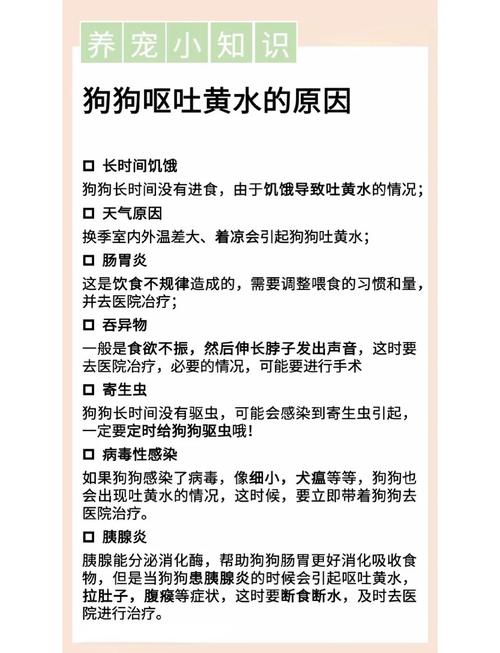 狗狗为什么关笼子会吐黄水