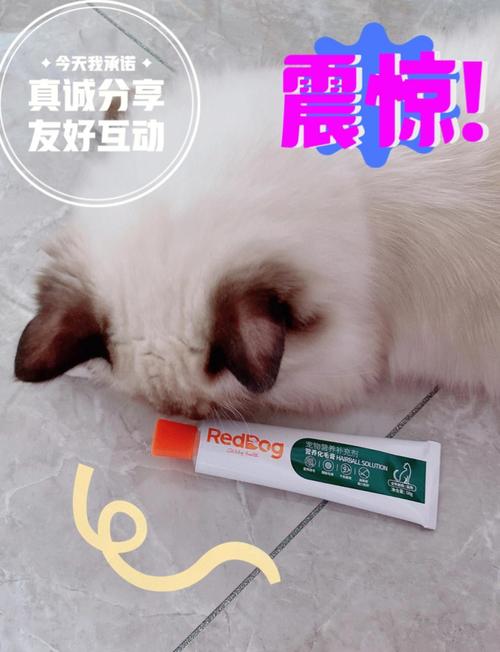 猫咪吃的化毛膏有哪些品牌推荐呢?