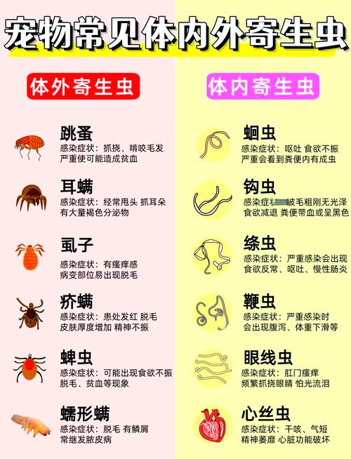 狗狗驱虫科普,铲屎官必看!