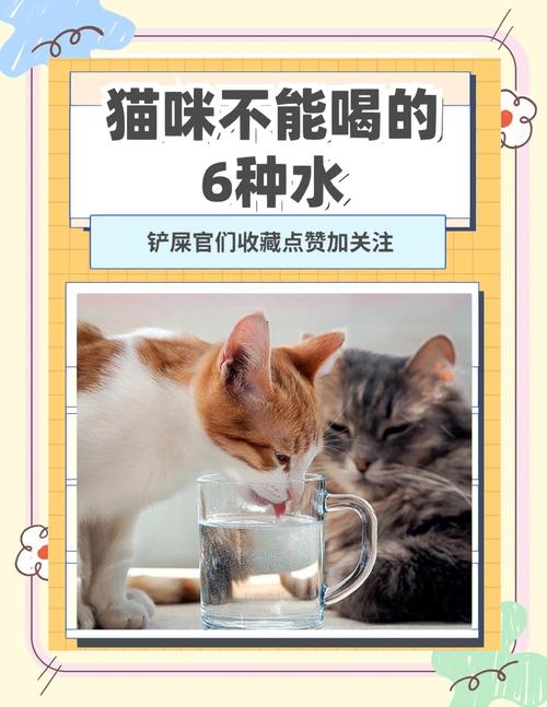 猫喝多少度的水合适