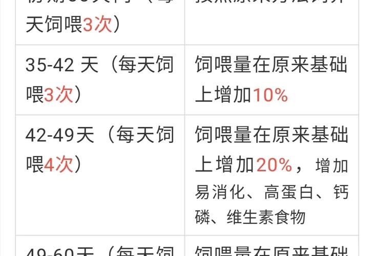 狗狗怀孕了怎么照顾