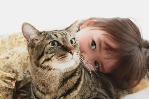 猫为什么不伤害婴儿