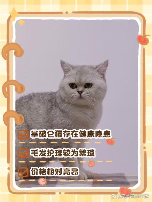 猫咪为什么对婴儿好色