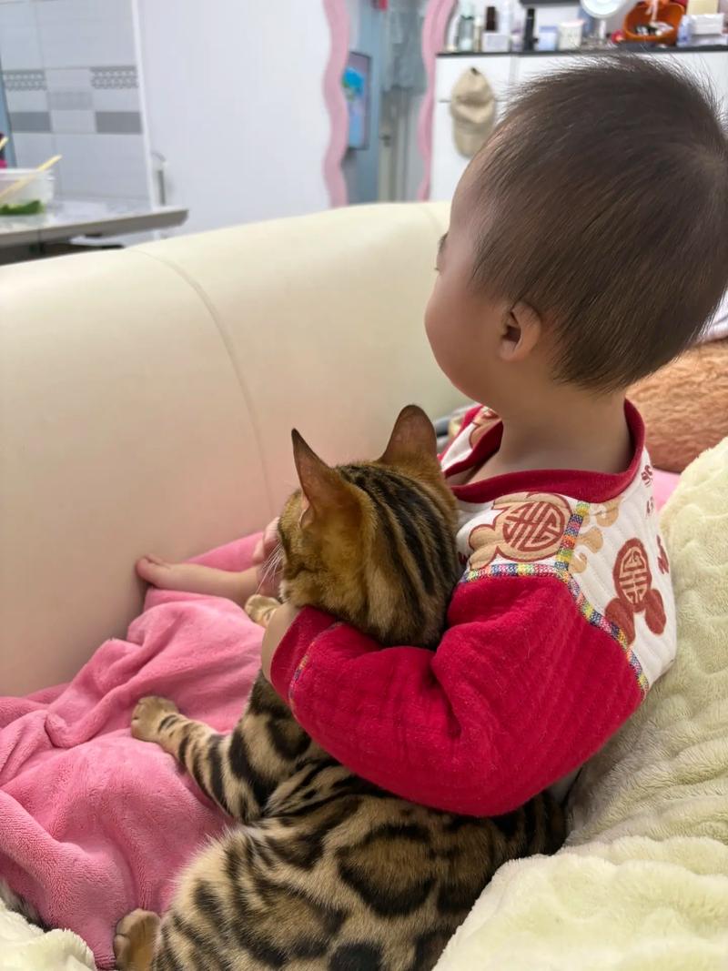 猫咪为什么对婴儿好