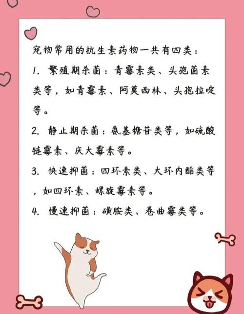 狗狗能吃头孢消炎吗