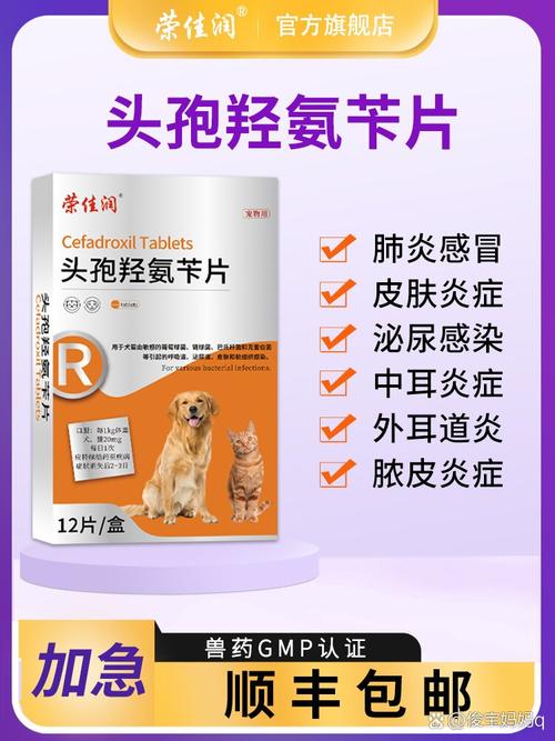 狗狗能吃头孢消炎吗,狗狗吃头孢消炎吃多少
